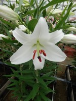 [5579 VH09 No02.JPG]